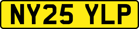 NY25YLP