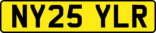 NY25YLR