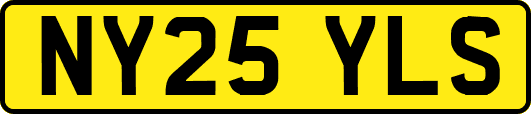 NY25YLS