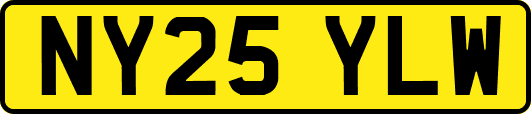 NY25YLW