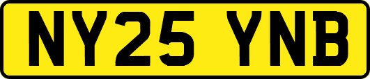 NY25YNB