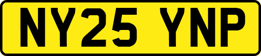 NY25YNP
