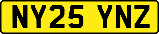 NY25YNZ
