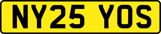 NY25YOS