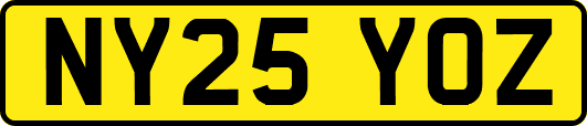 NY25YOZ