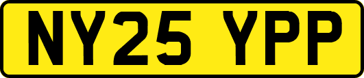 NY25YPP