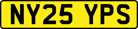 NY25YPS