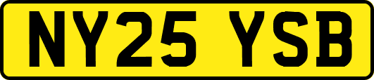 NY25YSB