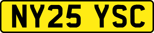 NY25YSC
