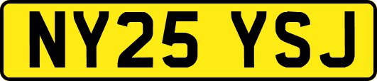 NY25YSJ