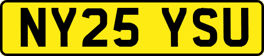 NY25YSU