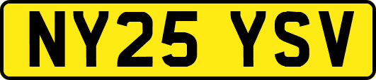 NY25YSV
