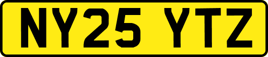 NY25YTZ