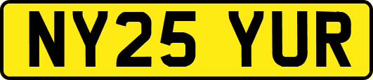 NY25YUR