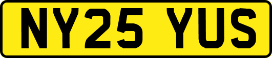 NY25YUS