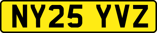 NY25YVZ