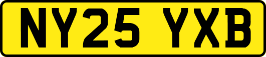 NY25YXB