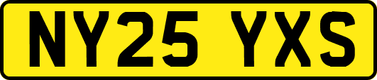 NY25YXS