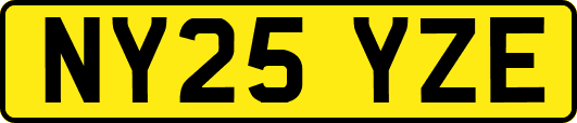 NY25YZE