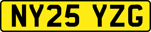 NY25YZG