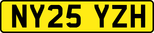 NY25YZH
