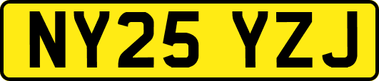 NY25YZJ