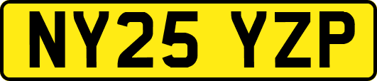 NY25YZP