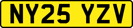 NY25YZV