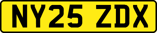 NY25ZDX