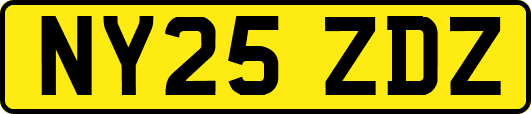 NY25ZDZ