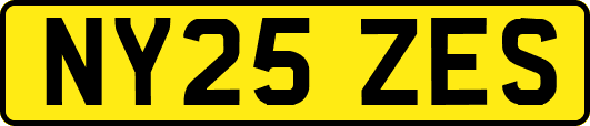 NY25ZES