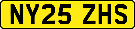NY25ZHS