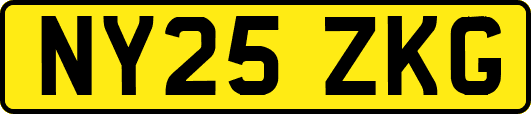 NY25ZKG