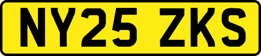 NY25ZKS