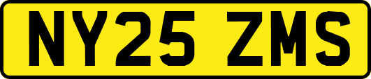 NY25ZMS