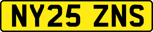 NY25ZNS