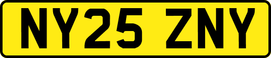 NY25ZNY