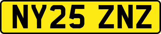 NY25ZNZ