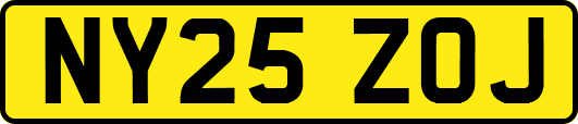 NY25ZOJ