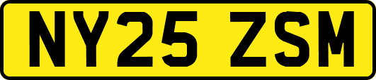 NY25ZSM