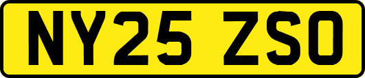 NY25ZSO