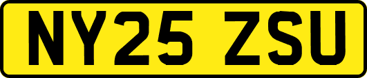 NY25ZSU