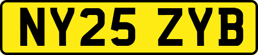 NY25ZYB