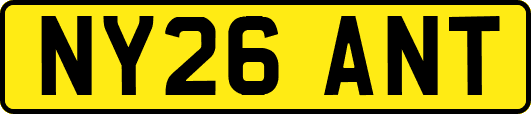 NY26ANT
