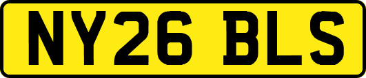 NY26BLS