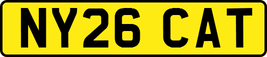 NY26CAT
