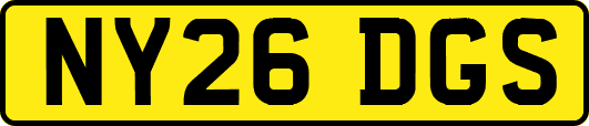 NY26DGS