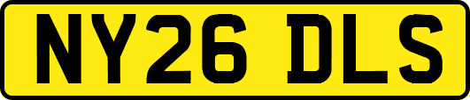 NY26DLS