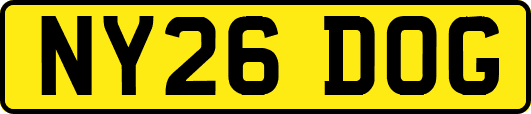 NY26DOG