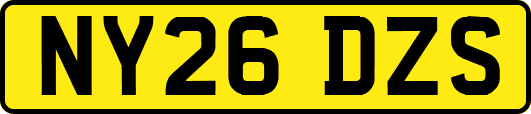 NY26DZS